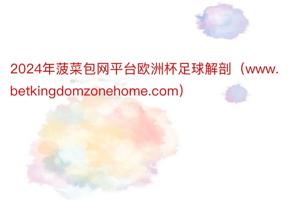 2024年菠菜包网平台欧洲杯足球解剖（www.betkingdomzonehome.com）